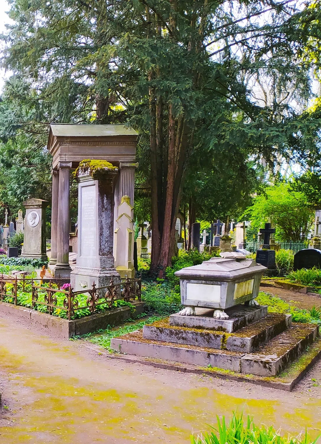 Alter Friedhof Bonn, Bonn