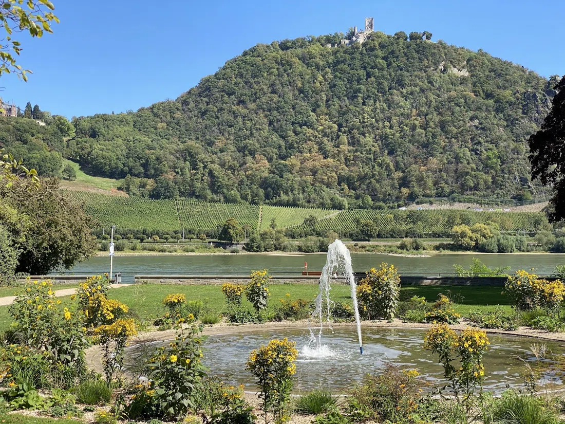 Rheinuferpromenade (Brassertufer), Bona