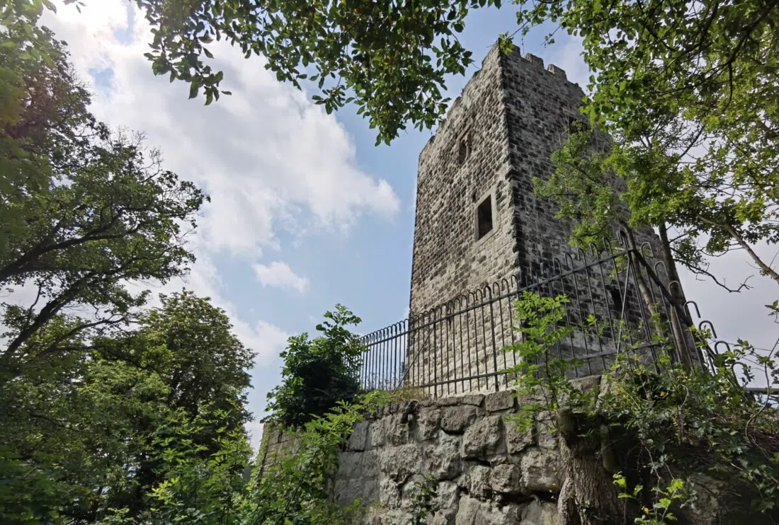 Ruine du château du Drachenfels et plateau sommital, Bonn