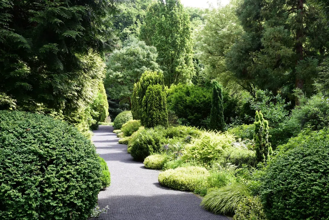 Arboretum Park Härle, Bonn