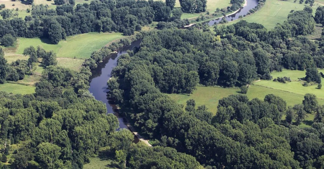 Naturschutzgebiet Siegmündung / Siegaue, Bonn