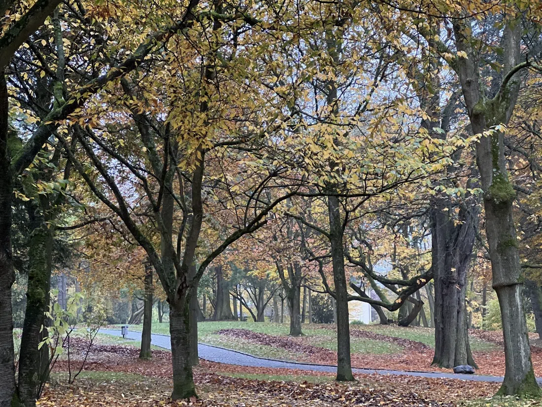 Redoutenpark and Stadtpark Bad Godesberg, Bonn