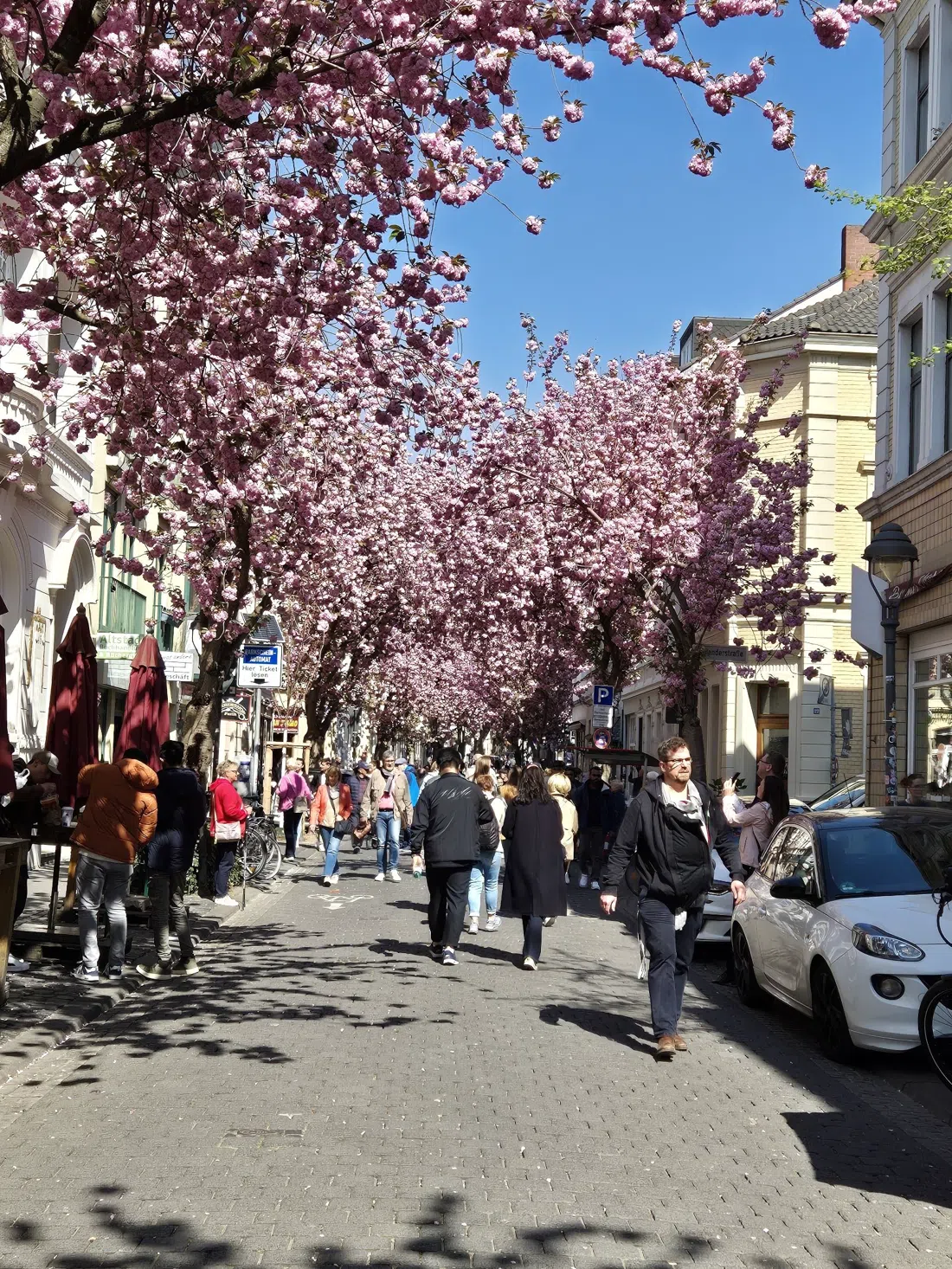 Bonner Street Food Festival (Altstadt, mid-April), Bonn