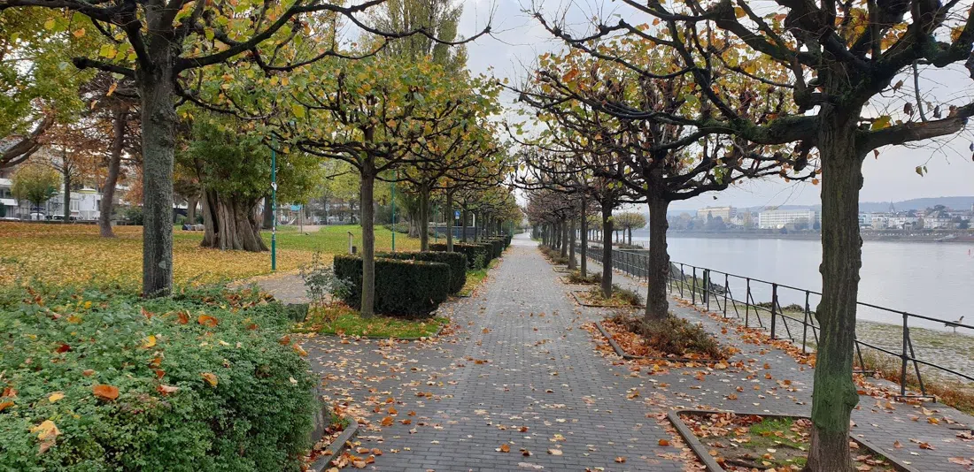 Kennedybrücke, Bonn