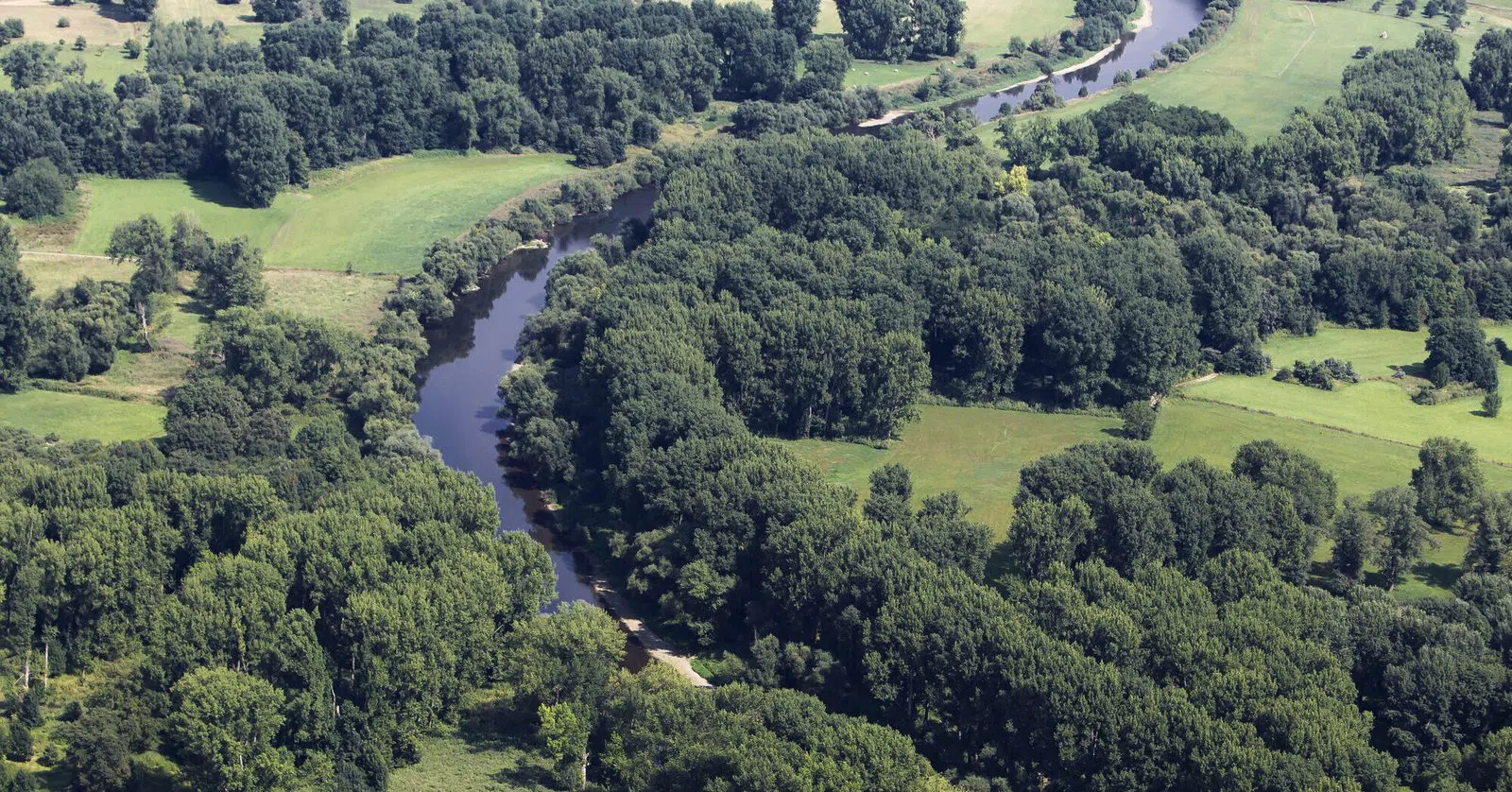 Naturschutzgebiet Siegmündung, Bonn