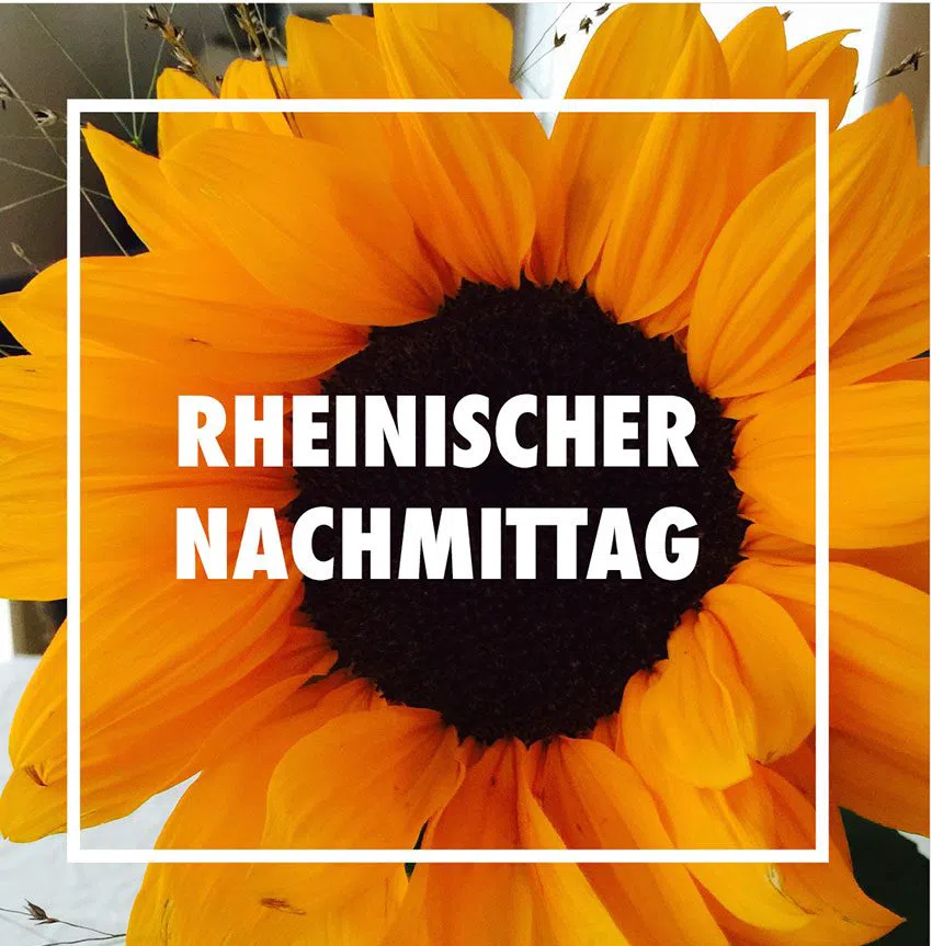 Bonner Personen Schiffahrt — croisière sundowner sur le Rhin, Bonn